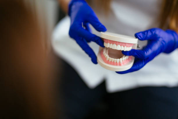 Professional  Holistic Dental Services in Harwich Center, MA